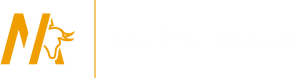 market-bulls-logo
