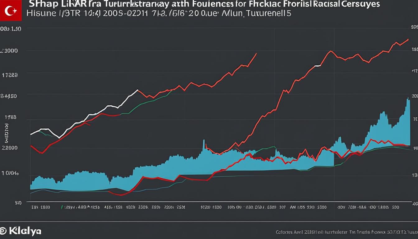 2001 turkish economic crisis